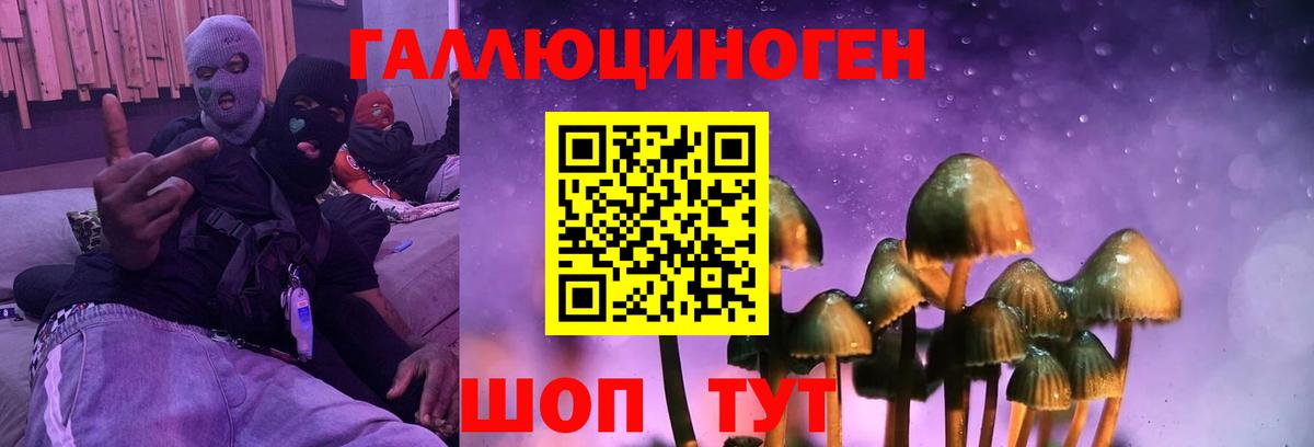 купить наркотик  Вход с VPN  Михайловка  Псилоцибиновые грибы MAGIC MUSHROOMS 
